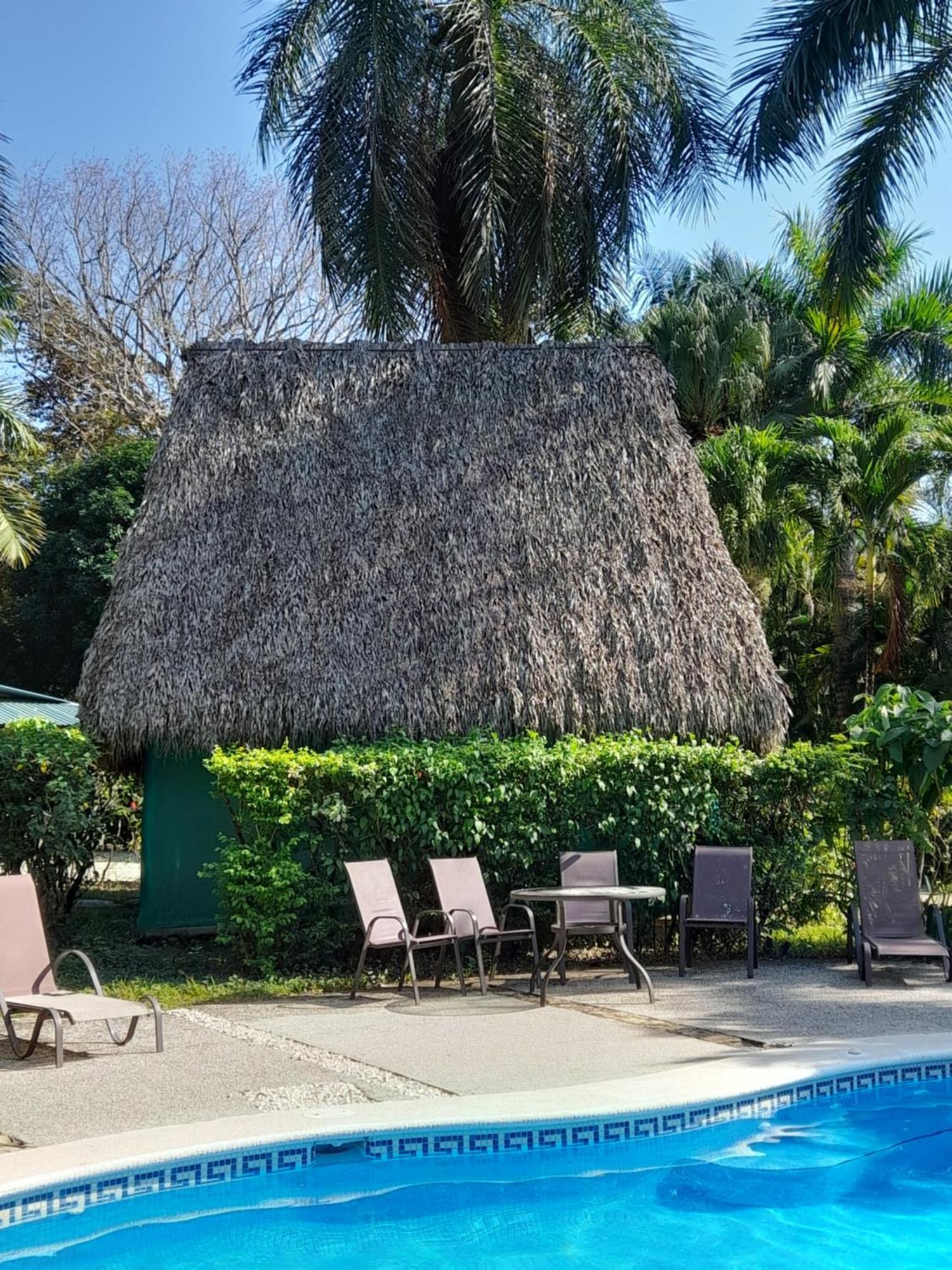 Отель Mal Pais Surf Camp Playa Santa Teresa  Экстерьер фото