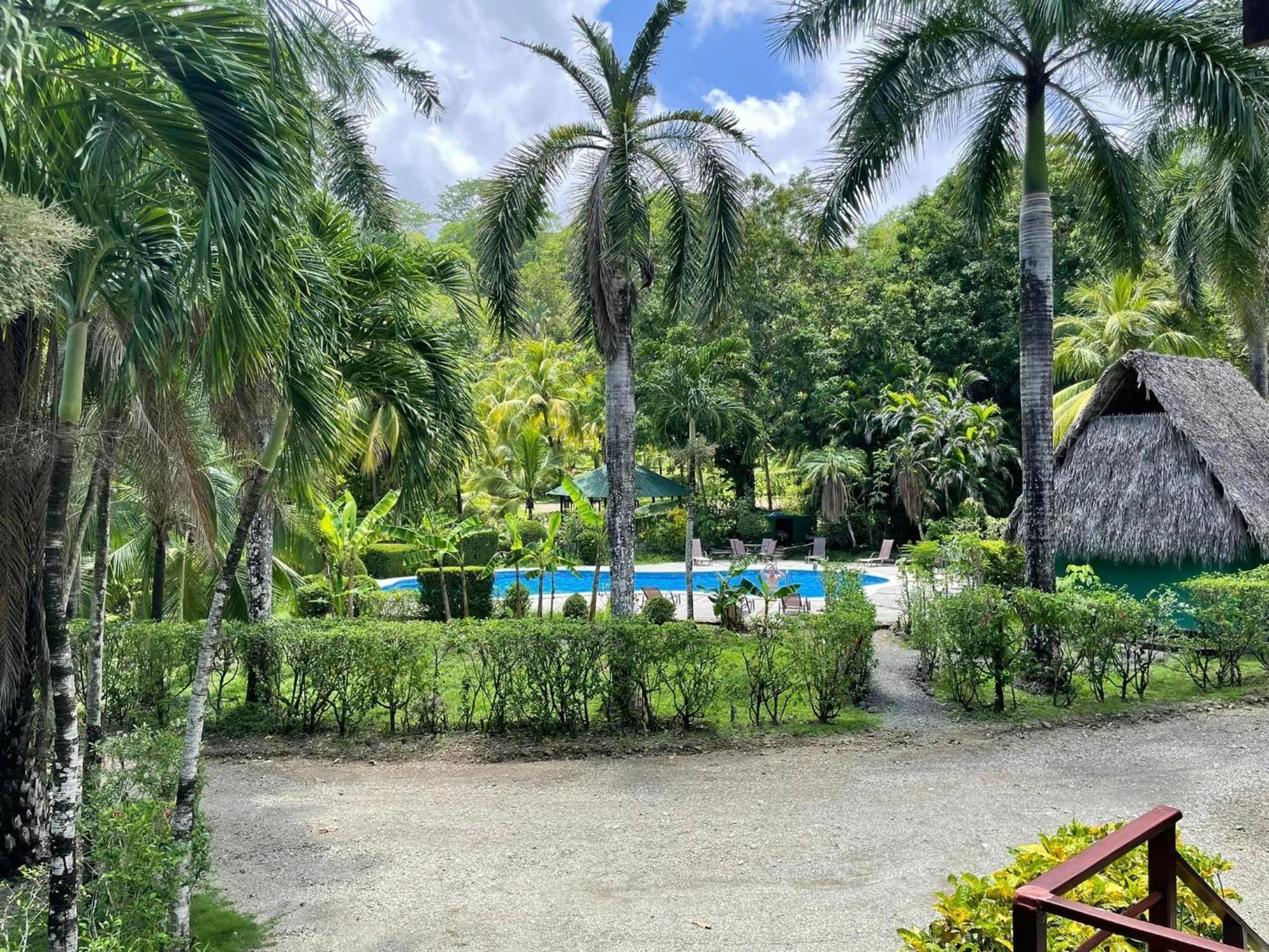 Отель Mal Pais Surf Camp Playa Santa Teresa  Номер фото