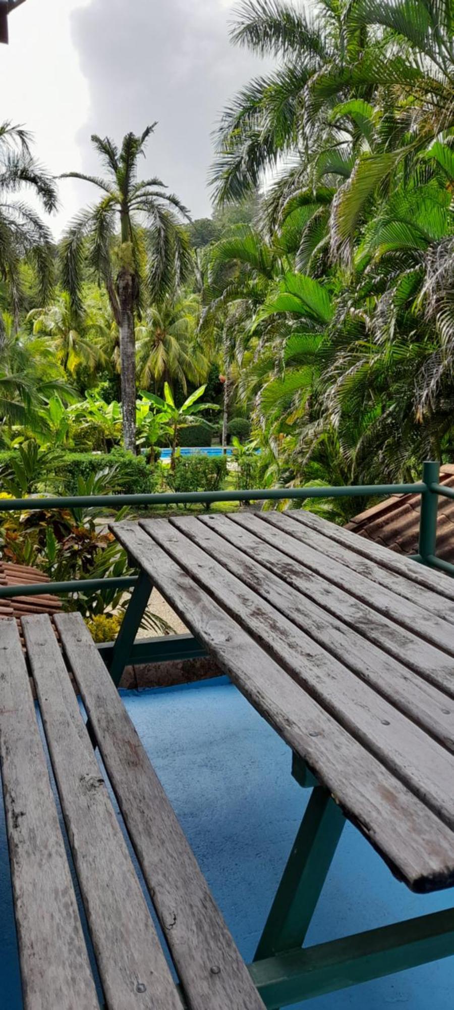 Отель Mal Pais Surf Camp Playa Santa Teresa  Экстерьер фото