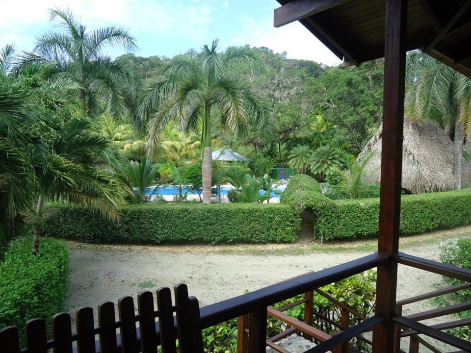 Отель Mal Pais Surf Camp Playa Santa Teresa  Экстерьер фото