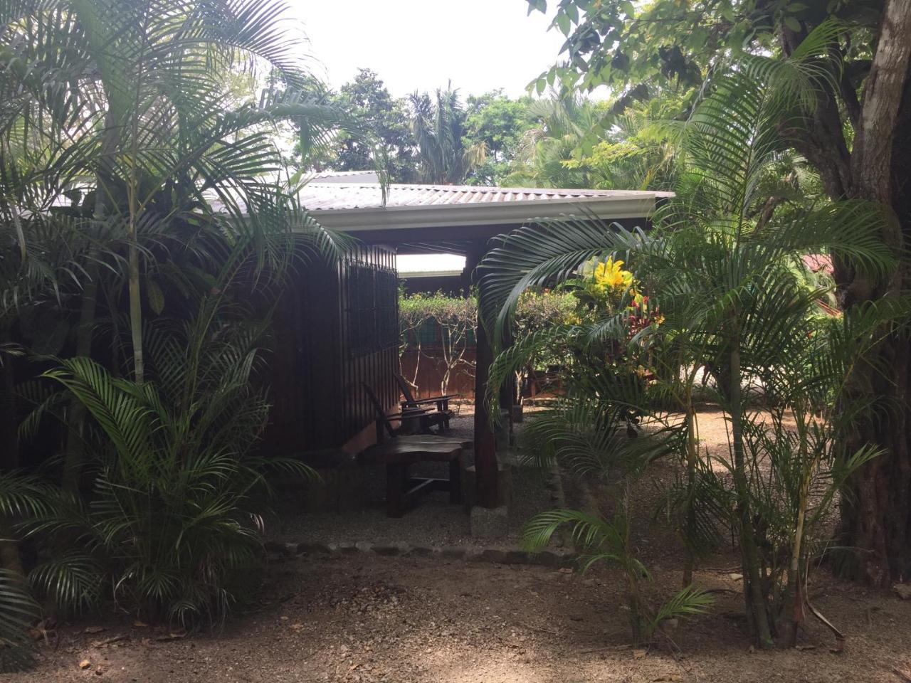Отель Mal Pais Surf Camp Playa Santa Teresa  Экстерьер фото